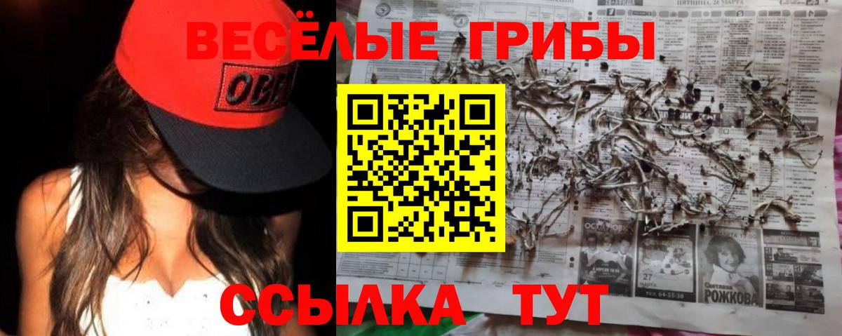 Псилоцибиновые грибы прущие грибы  купить наркотик  Кудрово  Вход с VPN 