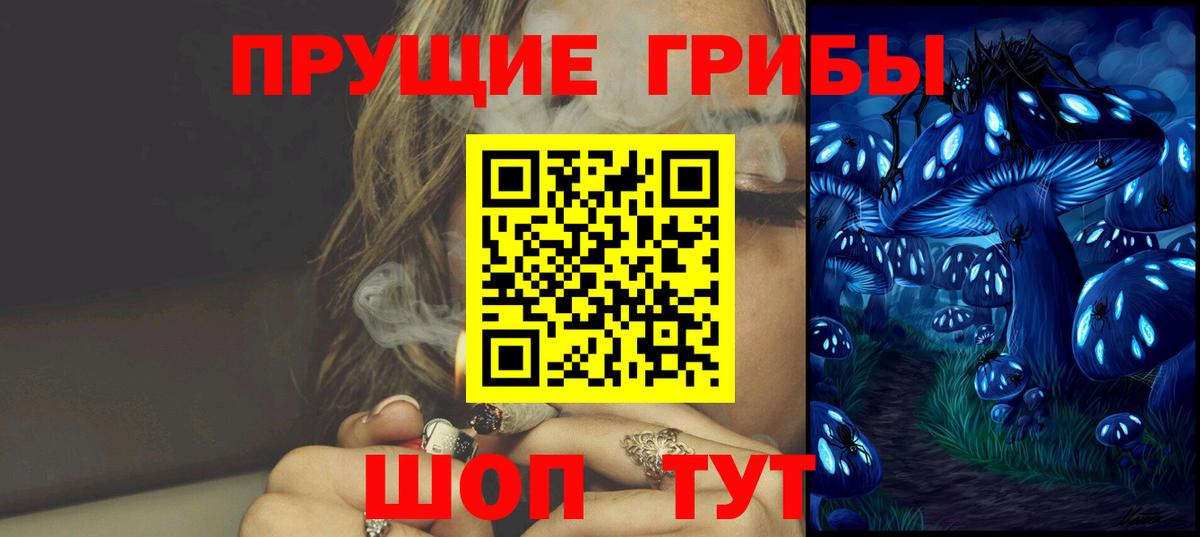 Псилоцибиновые грибы прущие грибы Кудрово
